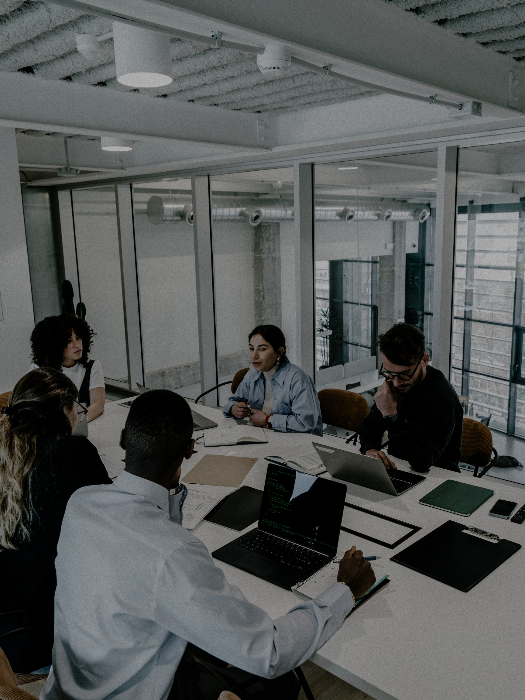 IT & Business Consulting